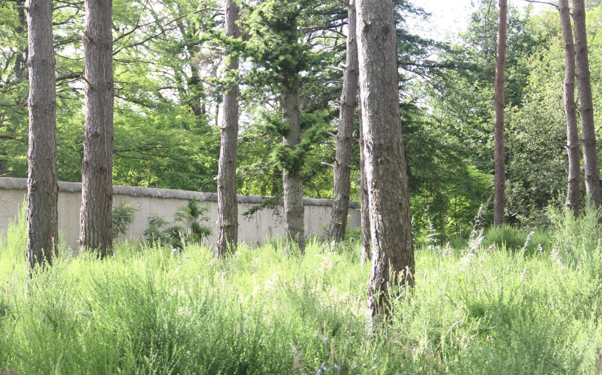 فيلا Le Refuge De Chambord Thoury المظهر الخارجي الصورة